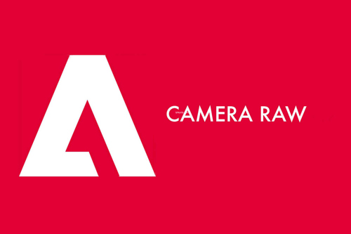 强大的 RAW 文件编辑工具 Adobe Camera Raw 16 For Mac v16.3.1.1889 