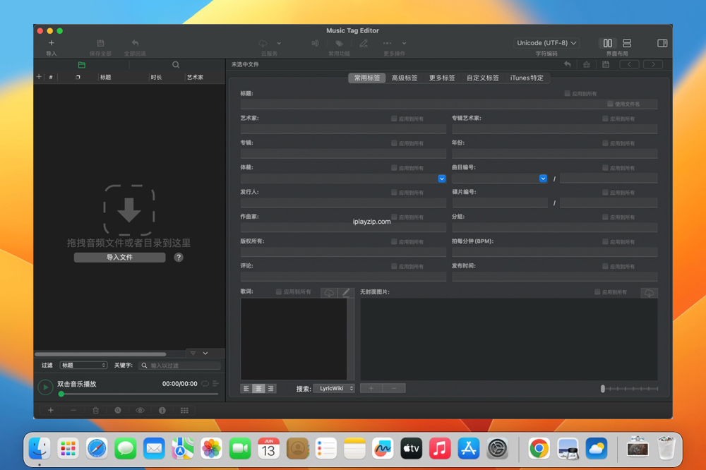 音频文件标签编辑工具 Music Tag Editor Pro v9.3 破解版